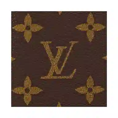 Louis Vuitton Multiple Wallet Brown