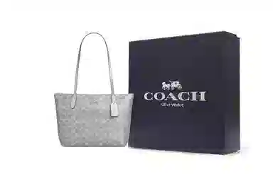 COACH Fiona 24 Tote