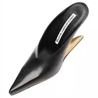 alexander wang Boomerang