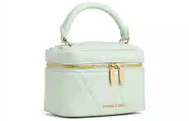 Charles & Keith Quilted Chain Bag