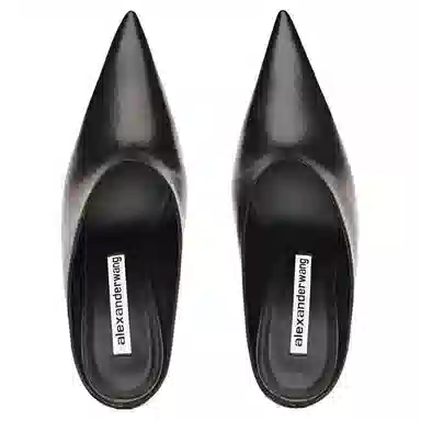 alexander wang Boomerang