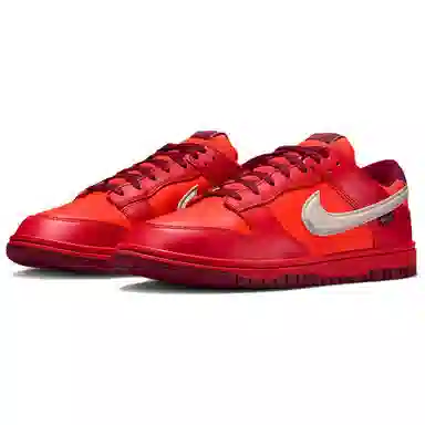 Nike Dunk GTX GORE-TEX