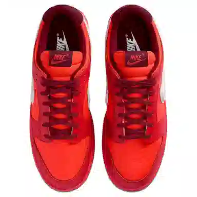 Nike Dunk GTX GORE-TEX