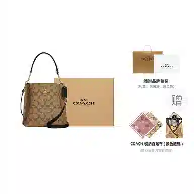 COACH Mollie Bucket 22