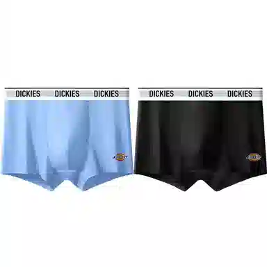 Dickies 10A95