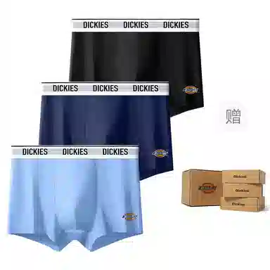 Dickies 10A95