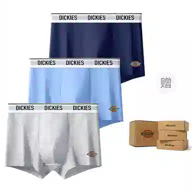 Dickies 10A95