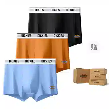 Dickies 10A95