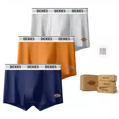 Dickies 10A95