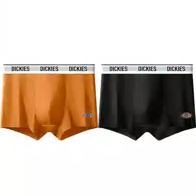 Dickies 10A95