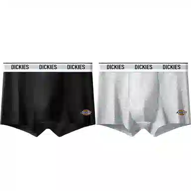 Dickies 10A95