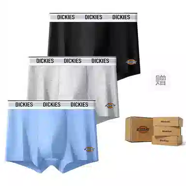 Dickies 10A95