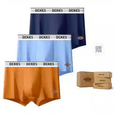 Dickies 10A95