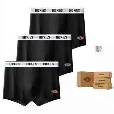 Dickies 10A95