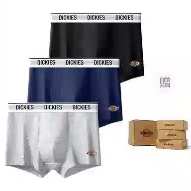 Dickies 10A95