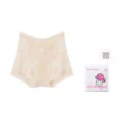 Rich Dragon Lace High Waist Panties