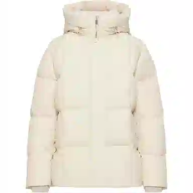 Aritzia Babaton Crown Puffer