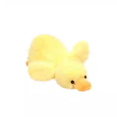 MORTEN SOLUM 30cm45cm