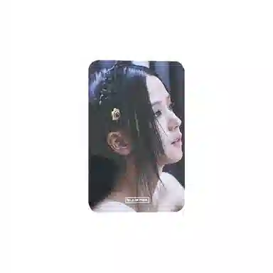 YG Entertainment BLACKPINK 2022BORN PINK wvs