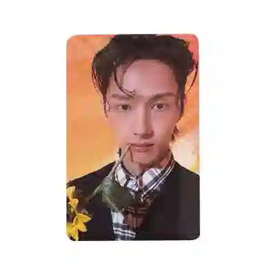 HYBE Seventeen 4.29 17 is right here random photo card