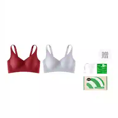 bra
