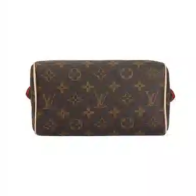 Louis Vuitton Speedy 20