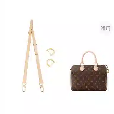 LV speedy25