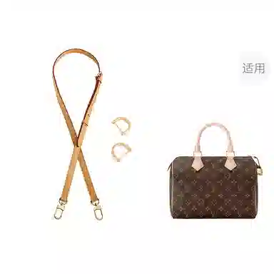 LV speedy25