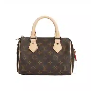 Louis Vuitton Speedy 20