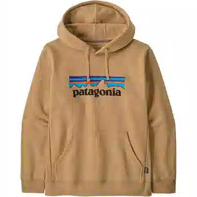 Patagonia Logo Hoodie