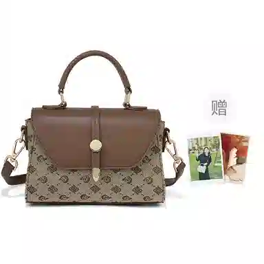 红蜻蜓 经典复古设计妈妈包老花满印时尚百搭包通勤 超细纤维合成革 手提包斜挎包 常规 女款 浅咖啡色