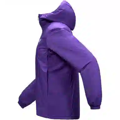 Arcteryx Atom Hoodie