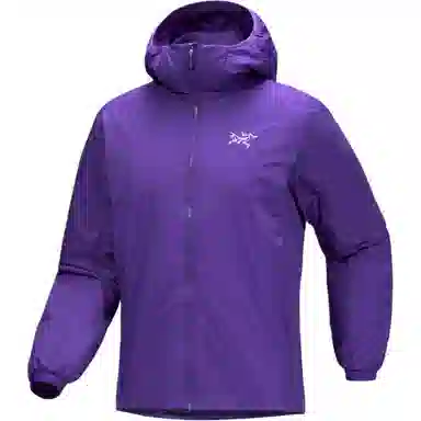 Arcteryx Atom Hoodie