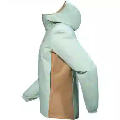 Arcteryx Atom Hoodie