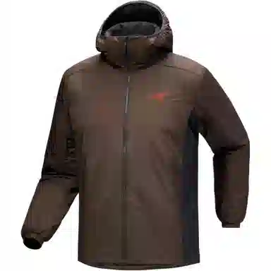 Arcteryx Atom Hoodie