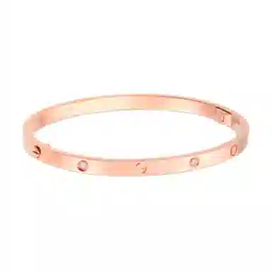Cartier LOVE Bracelet