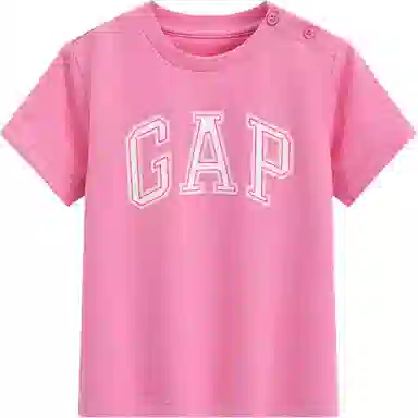 GAPTlogo