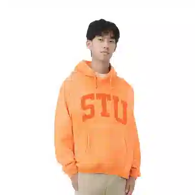 Stussy SS25 STU APPLIQUE HOODIE Logo