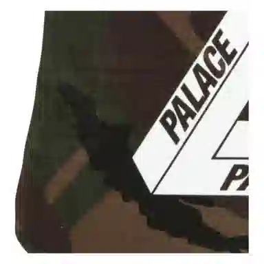 PALACE Logo