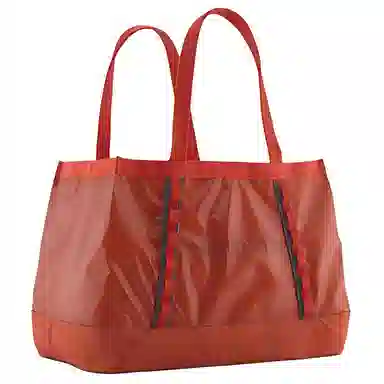 patagonia Tote