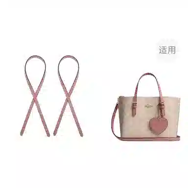 jingxi mollie25coach