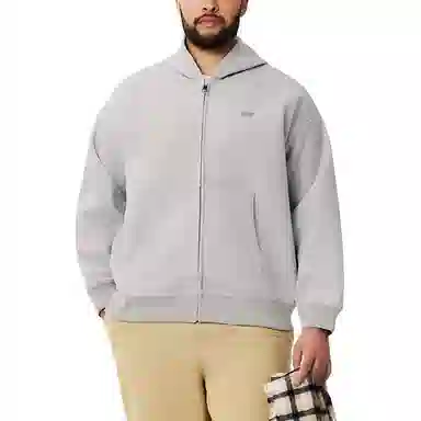 Lacoste Hoodie Grey