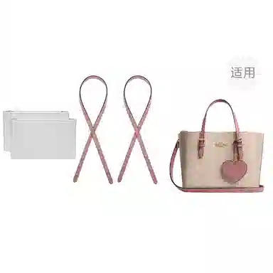 jingxi mollie25coach