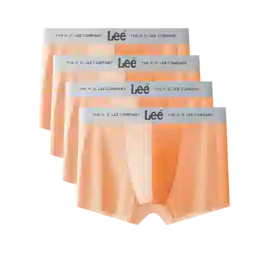 Lee 10A 4