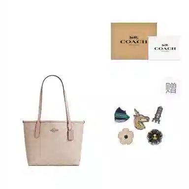 COACH Small City 23 Silver Sand