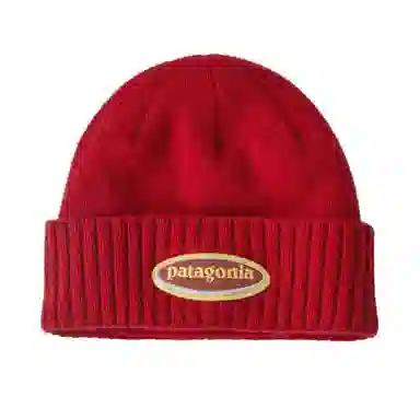 Patagonia Beanie