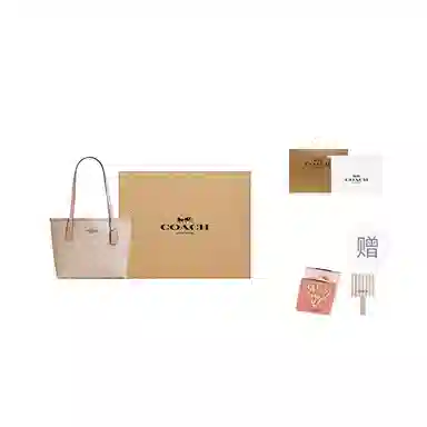 COACH Small City 23 Silver Sand