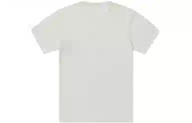 Champion SS23 Basic LogoT