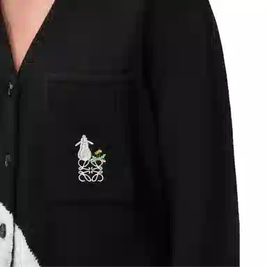 LOEWE x Suna Fujita FW24 V