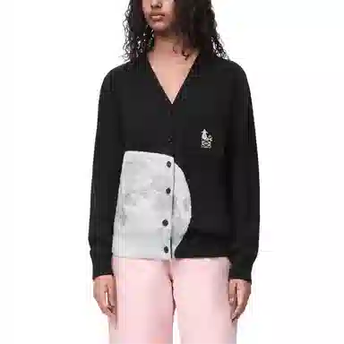 LOEWE x Suna Fujita FW24 V